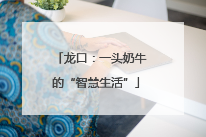 龙口：一头奶牛的“智慧生活”
