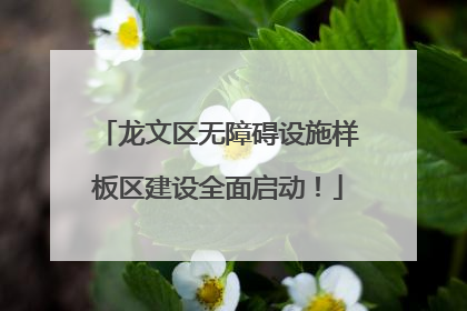 龙文区无障碍设施样板区建设全面启动！