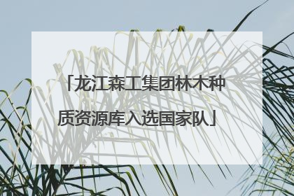 龙江森工集团林木种质资源库入选国家队