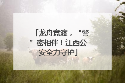 龙舟竞渡，“警”密相伴！江西公安全力守护