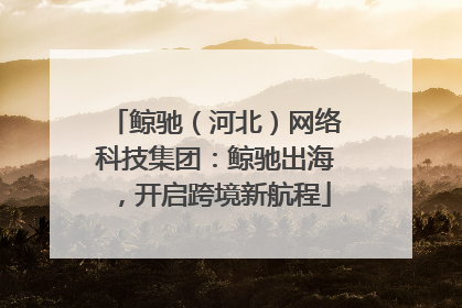 鲸驰（河北）网络科技集团：鲸驰出海，开启跨境新航程