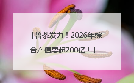 鲁茶发力！2026年综合产值要超200亿！