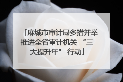 麻城市审计局多措并举推进全省审计机关 “三大提升年” 行动