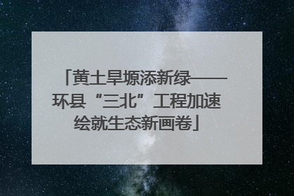 黄土旱塬添新绿——环县“三北”工程加速绘就生态新画卷