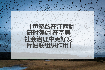 黄晓薇在江西调研时强调 在基层社会治理中更好发挥妇联组织作用