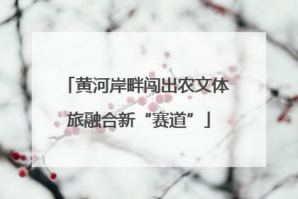 黄河岸畔闯出农文体旅融合新“赛道”