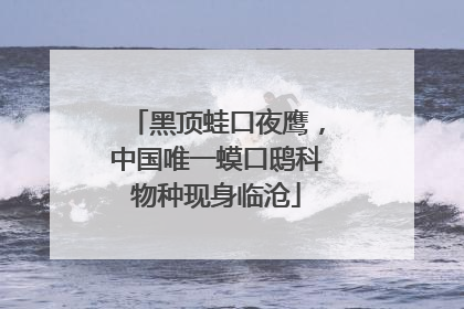黑顶蛙口夜鹰，中国唯一蟆口鸱科物种现身临沧