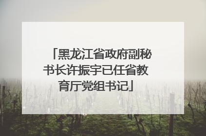 黑龙江省政府副秘书长许振宇已任省教育厅党组书记