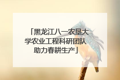 黑龙江八一农垦大学农业工程科研团队助力春耕生产