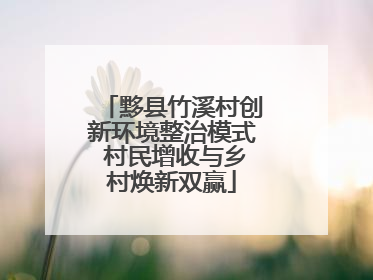 黟县竹溪村创新环境整治模式 村民增收与乡村焕新双赢