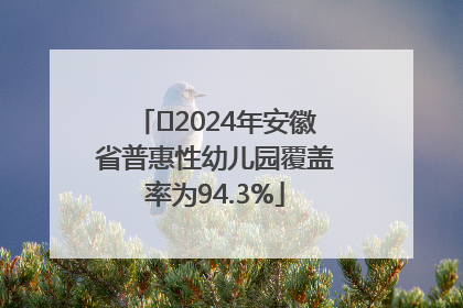 ﻿2024年安徽省普惠性幼儿园覆盖率为94.3%