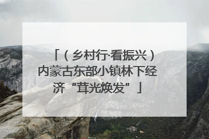（乡村行·看振兴）内蒙古东部小镇林下经济“茸光焕发”