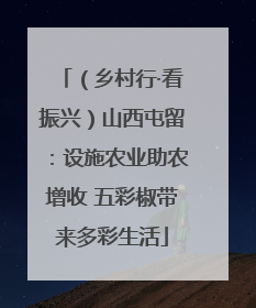 （乡村行·看振兴）山西屯留：设施农业助农增收 五彩椒带来多彩生活