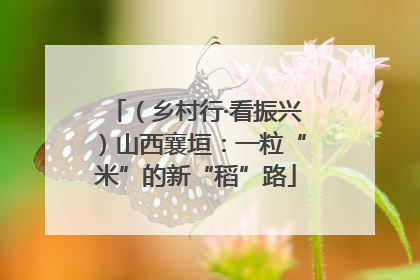 （乡村行·看振兴）山西襄垣：一粒“米”的新“稻”路
