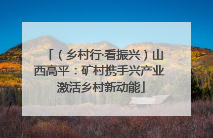 （乡村行·看振兴）山西高平：矿村携手兴产业 激活乡村新动能