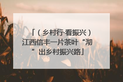 （乡村行·看振兴）江西信丰一片茶叶“沏”出乡村振兴路