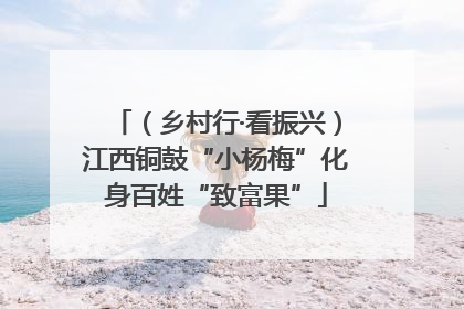 （乡村行·看振兴）江西铜鼓“小杨梅”化身百姓“致富果”