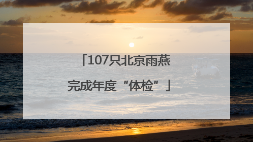 107只北京雨燕完成年度“体检”