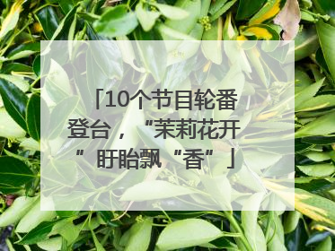 10个节目轮番登台，“茉莉花开”盱眙飘“香”