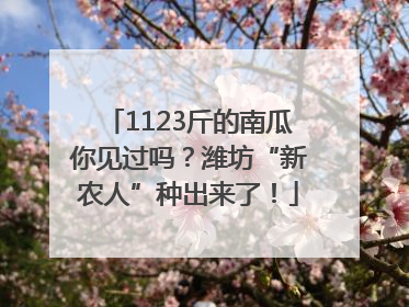 1123斤的南瓜你见过吗？潍坊“新农人”种出来了！