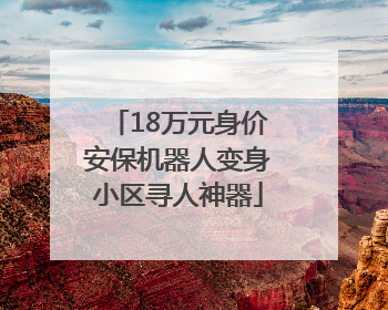 18万元身价安保机器人变身小区寻人神器