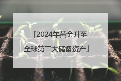 2024年黄金升至全球第二大储备资产