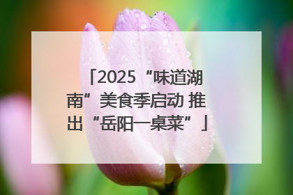 2025“味道湖南”美食季启动 推出“岳阳一桌菜”