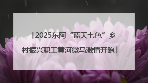 2025东阿“蓝天七色”乡村振兴职工黄河微马激情开跑