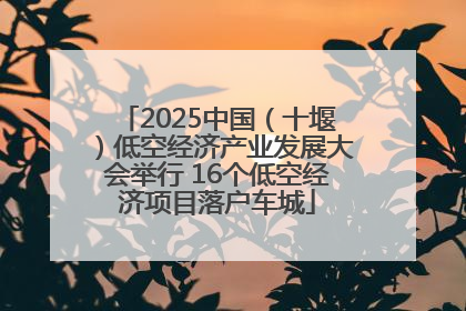 2025中国（十堰）低空经济产业发展大会举行 16个低空经济项目落户车城