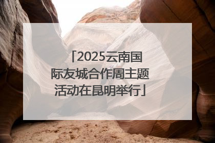 2025云南国际友城合作周主题活动在昆明举行