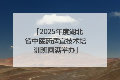 2025年度湖北省中医药适宜技术培训班圆满举办