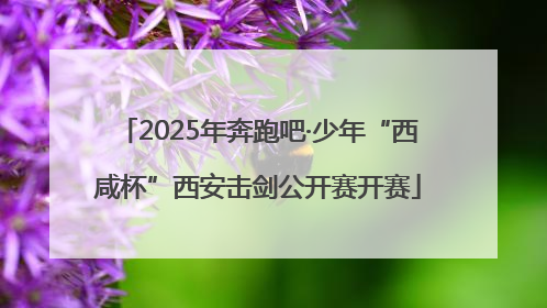 2025年奔跑吧·少年“西咸杯”西安击剑公开赛开赛