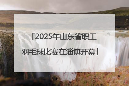 2025年山东省职工羽毛球比赛在淄博开幕