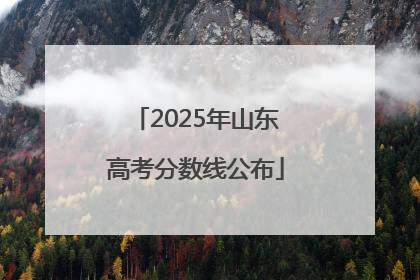 2025年山东高考分数线公布