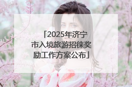 2025年济宁市入境旅游招徕奖励工作方案公布