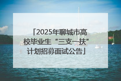 2025年聊城市高校毕业生“三支一扶”计划招募面试公告