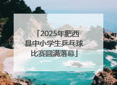 2025年肥西县中小学生乒乓球比赛圆满落幕