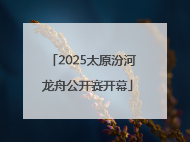 2025太原汾河龙舟公开赛开幕