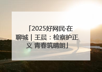 2025好网民·在聊城｜王晨：检察护正义 青春筑晴朗