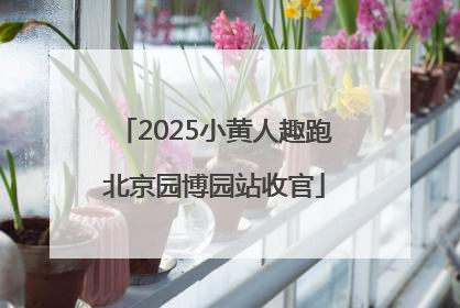 2025小黄人趣跑北京园博园站收官