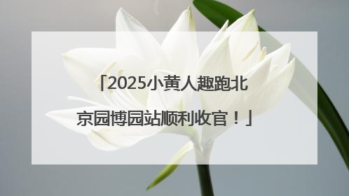 2025小黄人趣跑北京园博园站顺利收官！