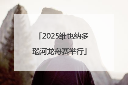 2025维也纳多瑙河龙舟赛举行