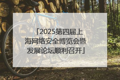 2025第四届上海网络安全博览会暨发展论坛顺利召开