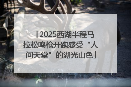 2025西湖半程马拉松鸣枪开跑感受“人间天堂”的湖光山色
