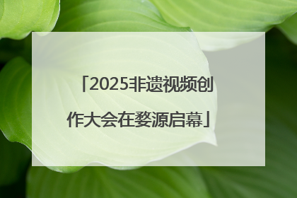2025非遗视频创作大会在婺源启幕