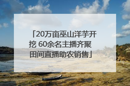 20万亩巫山洋芋开挖 60余名主播齐聚田间直播助农销售