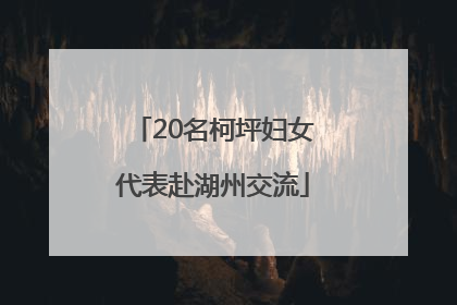 20名柯坪妇女代表赴湖州交流