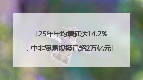 25年年均增速达14.2%，中非贸易规模已超2万亿元
