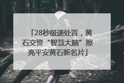 28秒极速处置，黄石交警“智慧大脑”擦亮平安黄石新名片