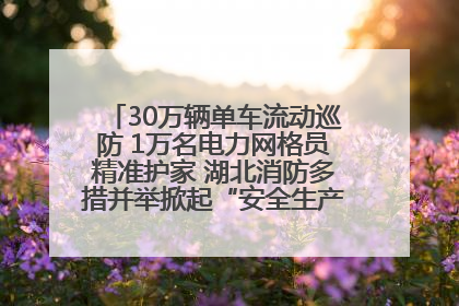 30万辆单车流动巡防 1万名电力网格员精准护家 湖北消防多措并举掀起“安全生产月”宣传热潮